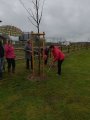 Výsadba jubilejního stromu v Ravni